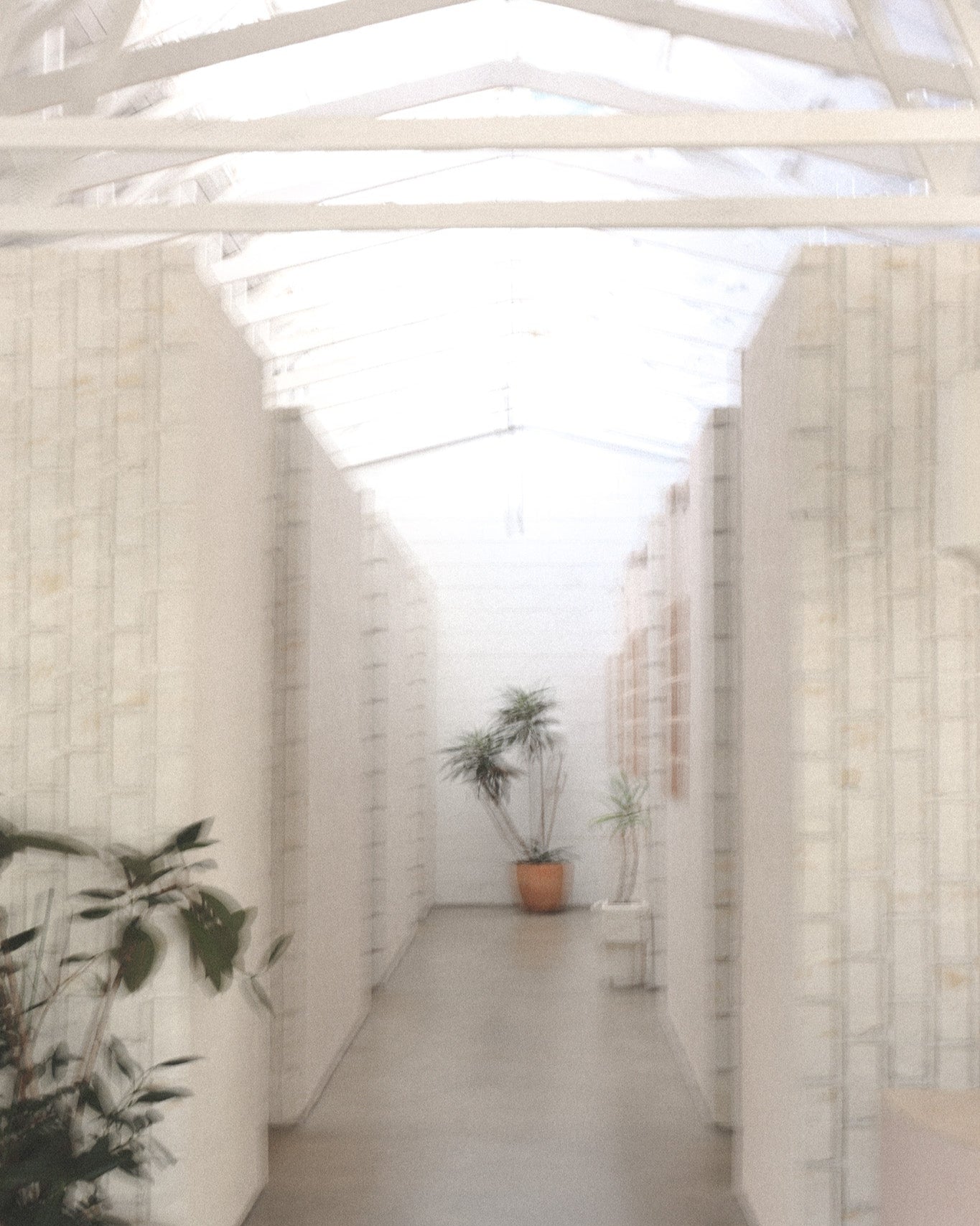 Reset Sensate Meditation Ritual