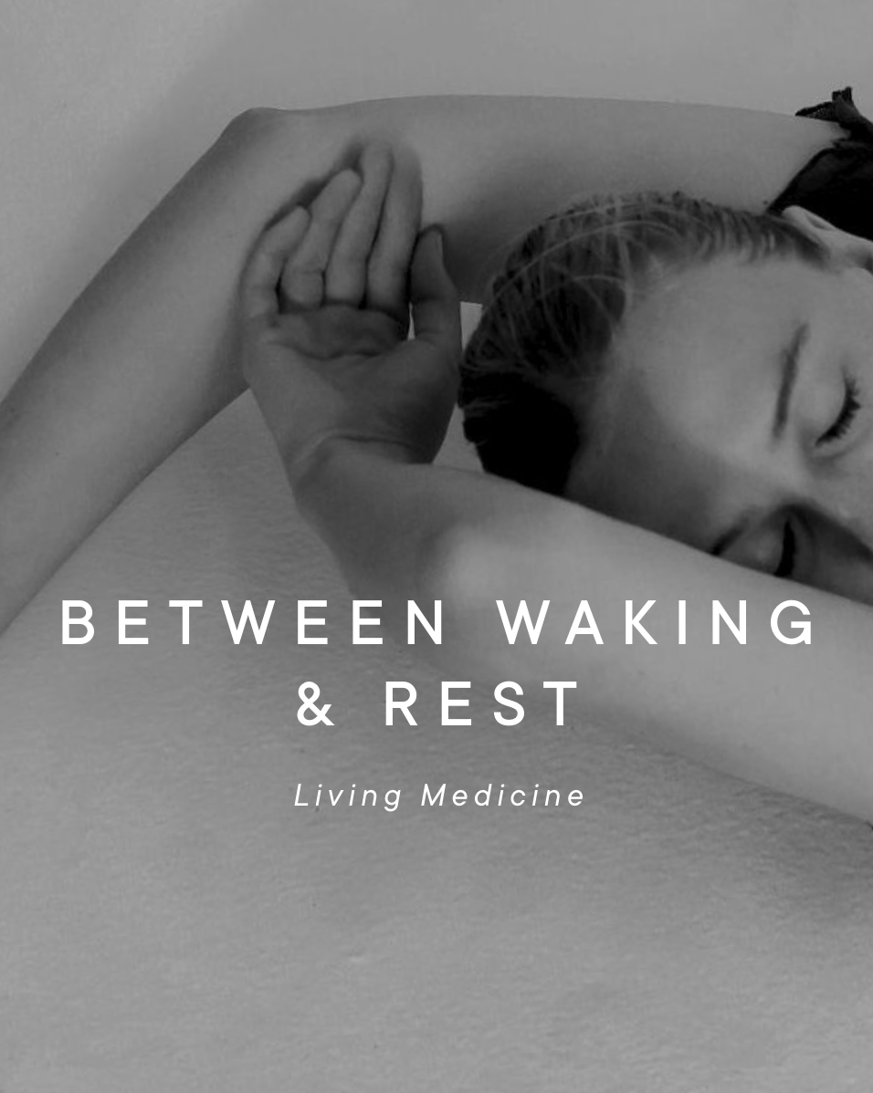 Dream - Between waking and rest