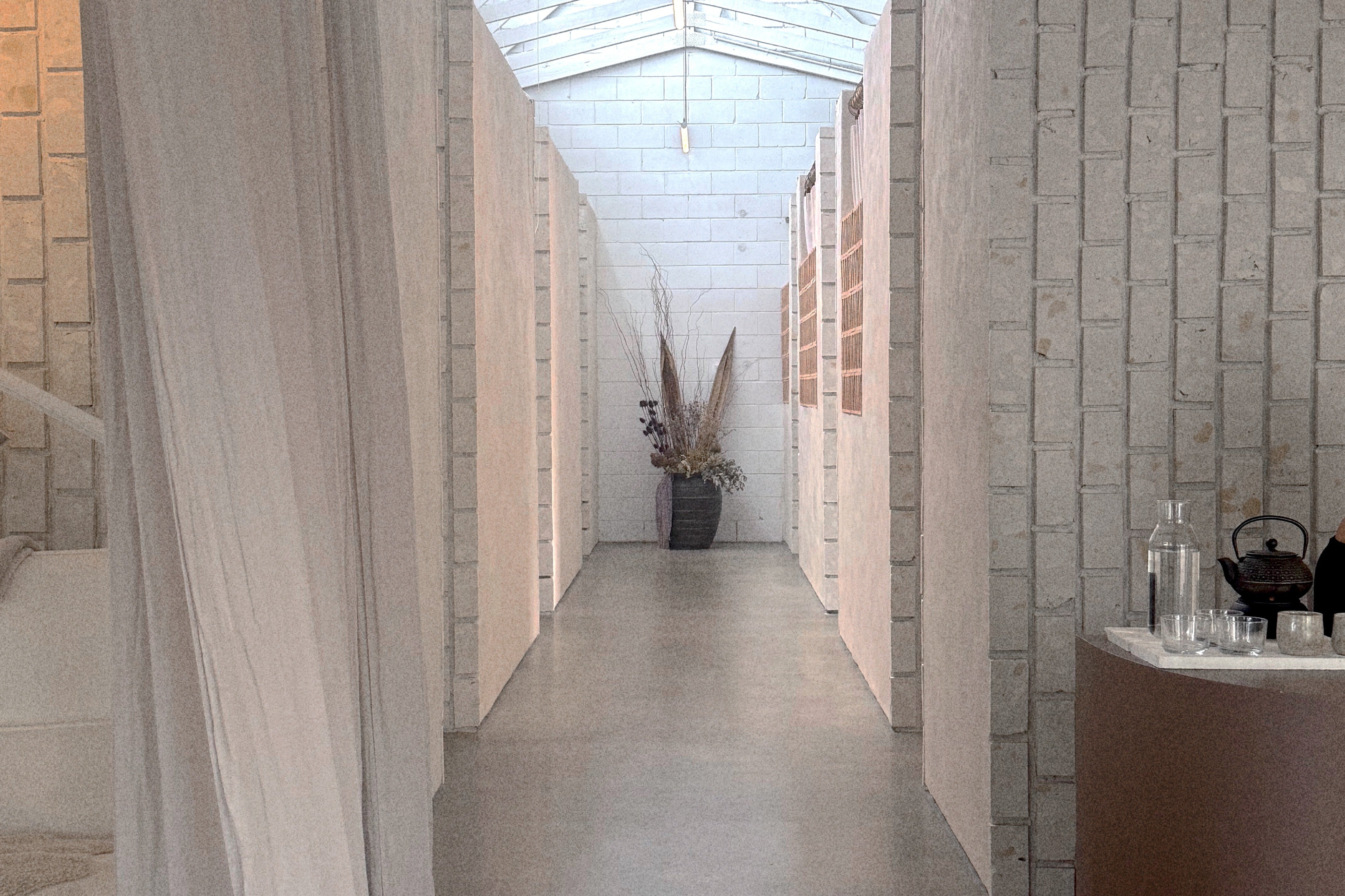 House of Shemana Byron Bay wellness membership — LED light therapy reset room and Shemana Elixirs botanical products